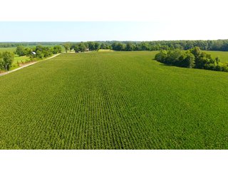 TRACT 10 - ILLINOIS LAND AUCTION - 4,810+/- ACRES OFFERED IN 85 TRACTS IN FRANKLIN, WILLIAMSON, HAMILTON & SALINE COUNTIES, ILLINOIS